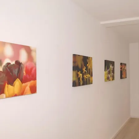 House Flora, Golden Knoepke *